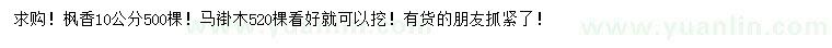 求購10公分楓香、馬褂木