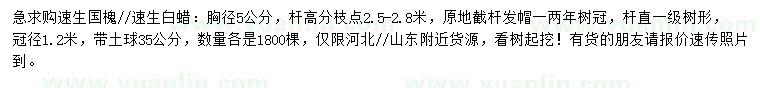 求購胸徑5公分速生國(guó)槐、速生白蠟
