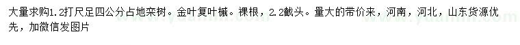 求購胸徑4公分欒樹、金葉復(fù)葉槭