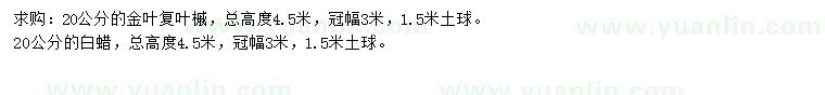 求購20公分金葉復(fù)葉槭、白蠟