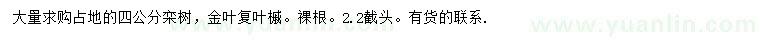 求購4公分欒樹、金葉復(fù)葉槭