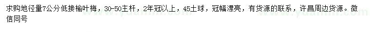 求購(gòu)地徑7公分榆葉梅