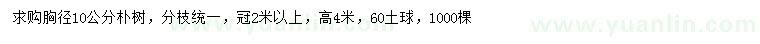 求購(gòu)胸徑10公分樸樹(shù)