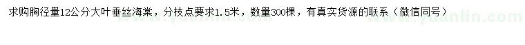 求購胸徑12公分大葉垂絲海棠
