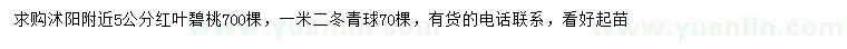 求購(gòu)5公分紅葉碧桃、1.2米冬青球