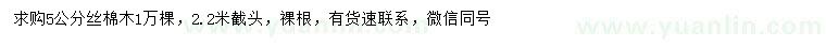 求購5公分絲棉木