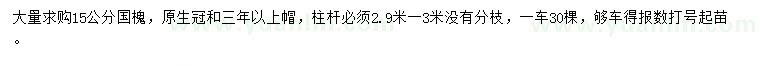 求購15公分國槐