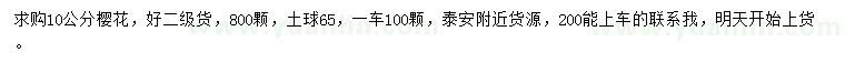 求購10公分櫻花