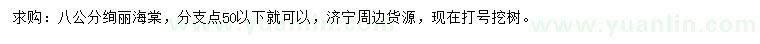 求購(gòu)8公分絢麗海棠