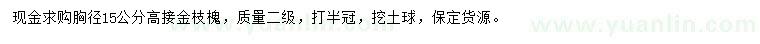 求購胸徑15公分金枝槐