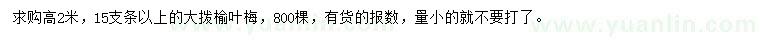 求購(gòu)高2米榆葉梅