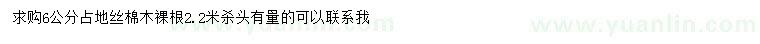 求購(gòu)6公分絲棉木
