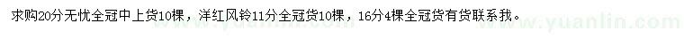 求購(gòu)20公分無(wú)憂、11、16公分洋紅風(fēng)鈴