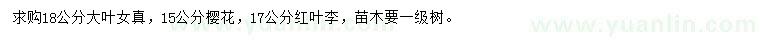 求購(gòu)大葉女貞、櫻花、紅葉李