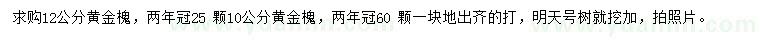 求購10、12公分黃金槐