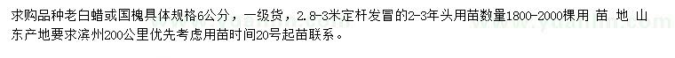 求購6公分老白蠟、國槐