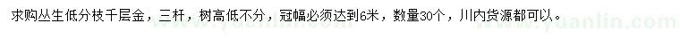 求購冠幅6米叢生千層金