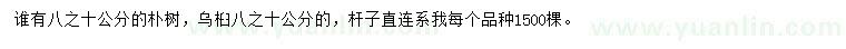 求購(gòu)8-10公分樸樹、烏桕