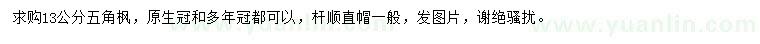 求購13公分五角楓