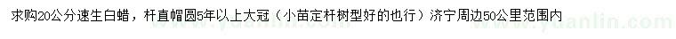 求購(gòu)20公分速生白蠟