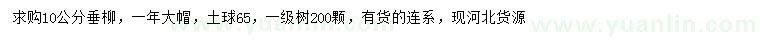 求購10公分垂柳