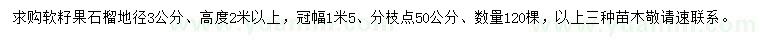 求購地徑3公分軟籽果石榴