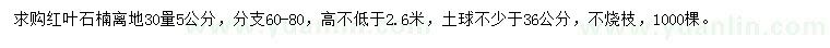 求購30量5公分紅葉石楠