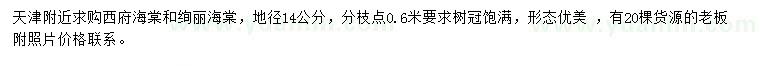 求購地徑14公分西府海棠、絢麗海棠