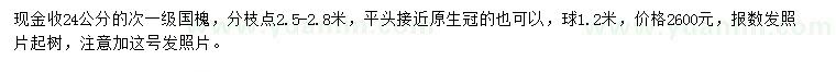 求購24公分國槐