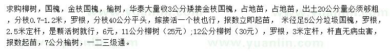 求購柳樹、國槐、金枝國槐等