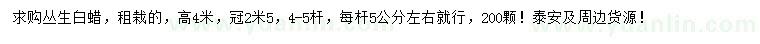 求購(gòu)高4米叢生白蠟