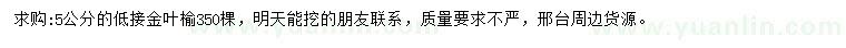 求購5公分金葉榆