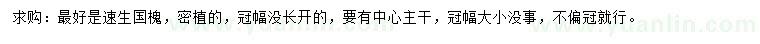 求購(gòu)18公分速生國(guó)槐