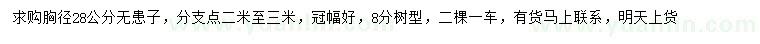 求購胸徑28公分無患子
