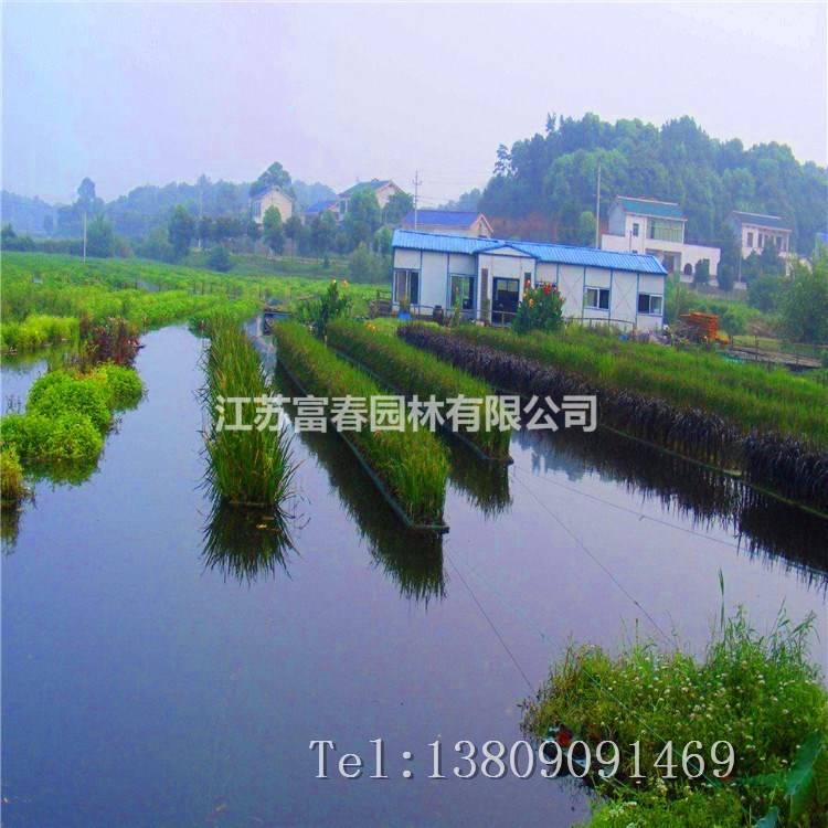 河道生態修復水質凈化人工浮島大型水面綠化漂浮濕地水生植物浮床種植