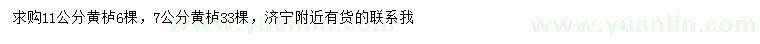 求購7、11公分黃櫨