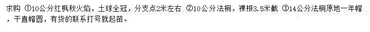 求購10公分紅楓秋火焰、10、14公分法桐