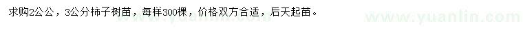 求購2、3公分柿子樹