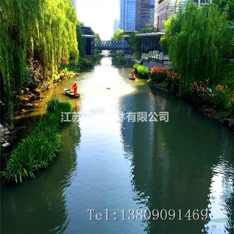 生物浮島植物栽培養護水域綠化濕地綠化工程水質凈化工程浮床