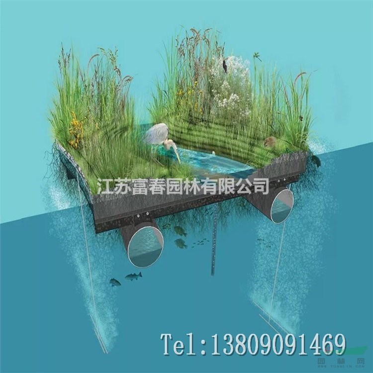 污水凈化浮床植物工程水體凈化承包生態修復水面浮島綠化景觀施工