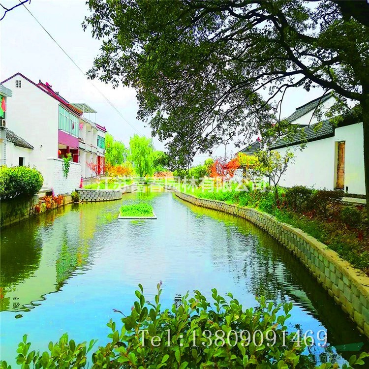 污水凈化浮床植物工程水體凈化承包生態修復水面浮島綠化景觀施工