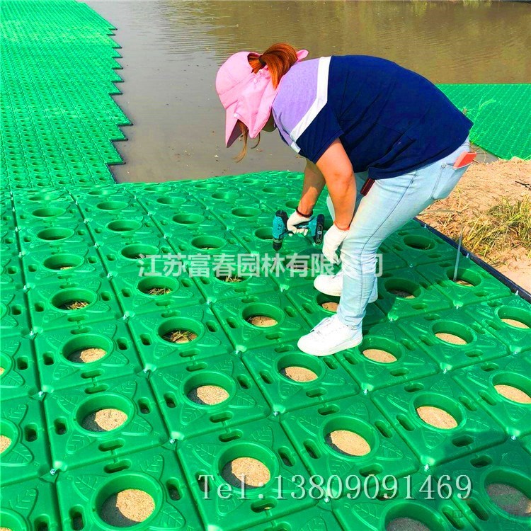 各種人工浮島漂浮浮島生態浮床河道綠化水生植物種植養護施工