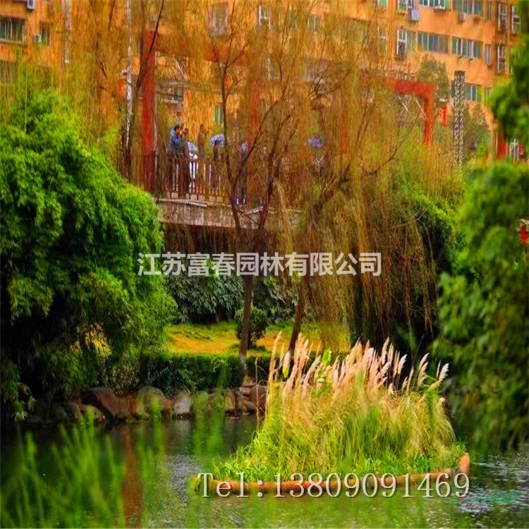 漂浮濕地產(chǎn)品系列 全方位助力浮島植物治水凈水工程
