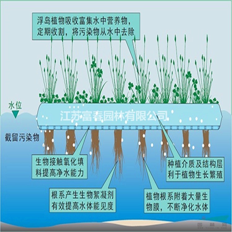定制安裝河道生態人工浮島浮床大型水面綠化漂浮濕地水生植物種植