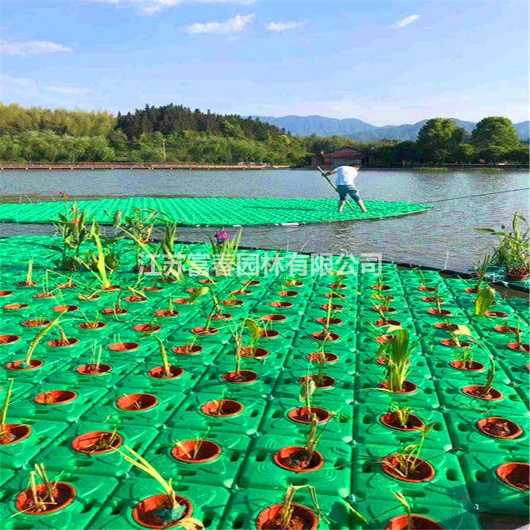 定制安装河道生态人工浮岛浮床大型水面绿化漂浮湿地水生植物种植