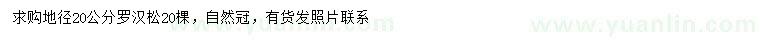 求購地徑20公分羅漢松