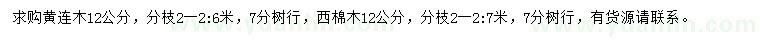 求購12公分黃連木、絲棉木