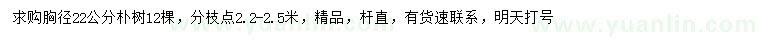 求購(gòu)胸徑22公分樸樹