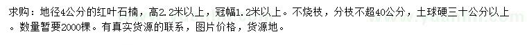 求購地徑4公分紅葉石楠