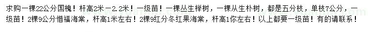 求購(gòu)國(guó)槐、叢生櫸樹、叢生樸樹等